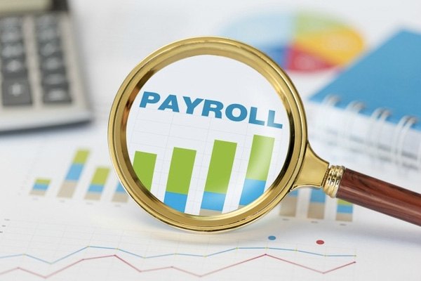 Payroll Services